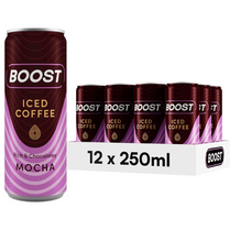 Boost Iced Rich & Chocolatey Mocha (250ml x12)